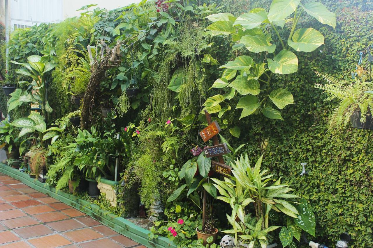 Balneário Camboriú Hotel Parana Bc מראה חיצוני תמונה
